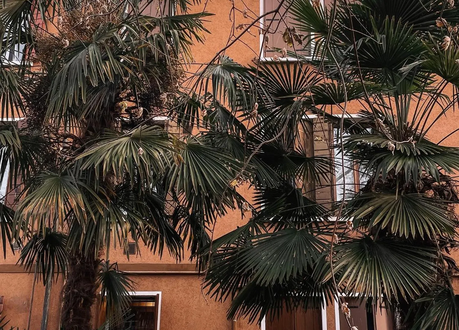 Entire Industrial Flat Venice With Patio - Free Parking Mestre Italy